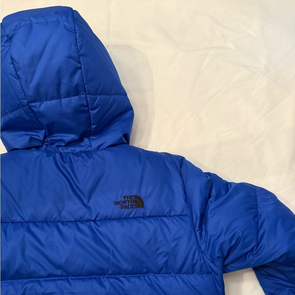 The North Face Blue Puffy Jacket